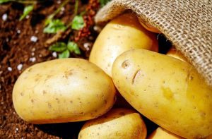 أهمية واستعمالات البطاطس